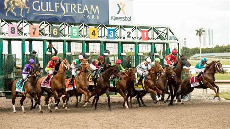 gulfstream race track picks|Gulfstream Park Picks .
